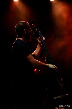 Kjer raste kultura (29)